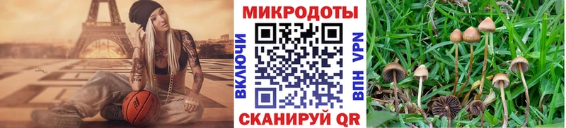 Псилоцибиновые грибы Psilocybe  MEGA онион  Нолинск  даркнет сайт 